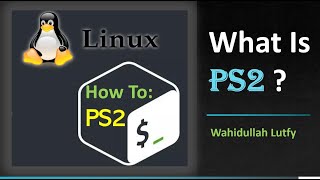 Tutorial on What Is PS2 [upl. by Leira103]