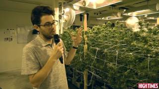 Cali Connection Grow Tour [upl. by Akisey]