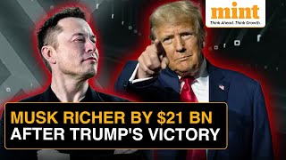 Elon Musks 100 Mn Bet Pays Off Tesla CEOs Net Worth Increases By 21 Bn After Trumps Victory [upl. by Robet663]