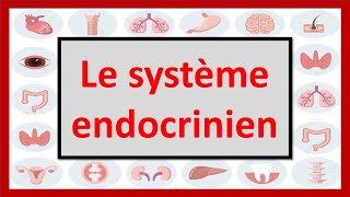 🔴ENDOCRINOLOGIE  LE SYSTÈME ENDOCRINIEN EN 06 MINUTES [upl. by Ciardap]