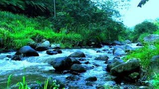 Relaxing river sound of mountain streams for deep sleep mind refreshing stress relief and yoga [upl. by Ahsenhoj]