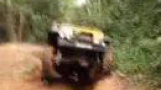 Troller Teteco amp Jeep CJ Dick [upl. by Torp936]