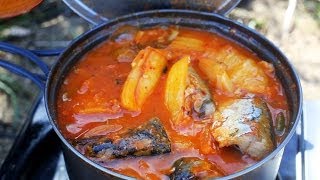 Kimchi and Mackerel Camping Stew 김치찌개 [upl. by Joses]