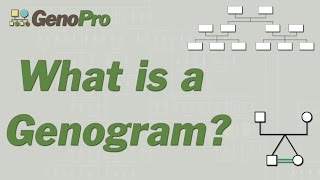 What Is A Genogram [upl. by Sassan]