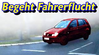 Unfall mit Fahrerflucht Mutter des Jahres und Blitzeinschlag  DDG Dashcam Germany  605 [upl. by Lachance]