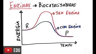 Proteínas  Enzimas [upl. by Anitsej]