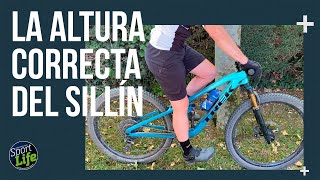 ¿Cuál es la altura de sillín correcta  SPORT LIFE [upl. by Schreib152]