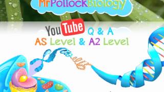 MrPollockBiology A Level Revision Q amp A 2014 [upl. by Corvin]