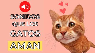 Sonidos que los Gatos Aman 😻 Sonidos para Atraer a tu Gato [upl. by Patsis]