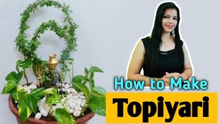 How to make Topiyari at home from jade and money plant topiyari garden diy shiva [upl. by Golightly]