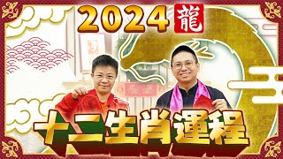 2024 生肖運程  2024龍年十二生肖運程 逐一預測  犯太歲、桃花運、財運【中文字幕】寶善老師 潘小文 [upl. by Bullen]