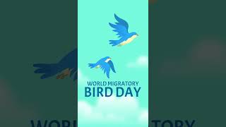 Migratory Birds  Nature  World Migratory Bird Day birds [upl. by Anahc]