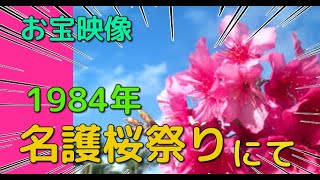 1984年（昭和59年）「名護さくら祭りインタビュー」 [upl. by Nyrhtakyram]