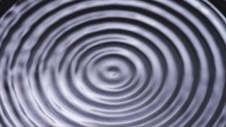 You have to see these sound waves [upl. by Laehctim]