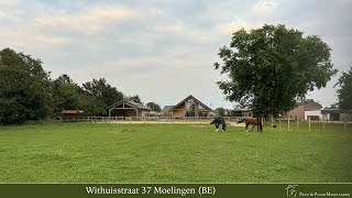 Te Koop PaardenPand Withuisstraat 37 Moelingen BE [upl. by Tiffy845]