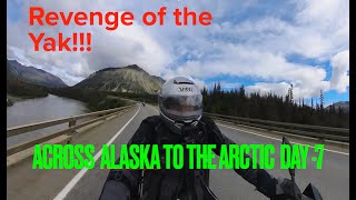 Across Alaska To The Arctic  Day 7 [upl. by Kristoforo]