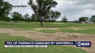 70 of fairways at Wichita golf course damaged by winterkill [upl. by Tommie]