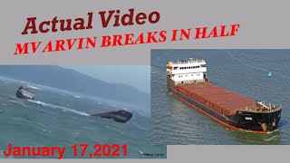 Actual Video  MV ARVIN ship breaks 17 January 2021  Sunk [upl. by Harvie545]