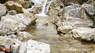 Gebirgsbach  Mountrain Stream  Ellesbach  Allgäu  Nahaufnahme  CloseUp  4K  UHD  Relaxing [upl. by Ahsiekat]