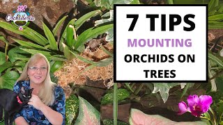 Mounting Orchids on Trees Watch This BEFORE you Mount 5 Benefits and 7 Tips [upl. by Hobey]