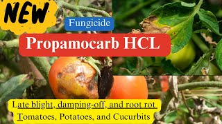 Propamocarb Hydrochloride Fungicide Chemistry Modes of Action Formulations and Applications [upl. by Heins]