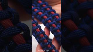 DIY Paracord Dog Leash🐶 🪢 [upl. by Ateloiv]