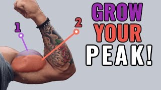 How to Grow Your Biceps Peak 4 ScienceBased Tips [upl. by Amity]