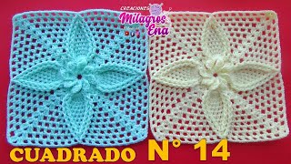 Cuadrado N° 14 Tejido a crochet Hojitas con borde en relieve para Mantitas de bebe y cojines [upl. by Fidole]