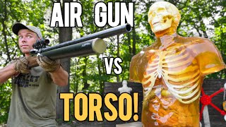 Worlds Most POWERFUL Air Rifle vs TORSO 72cal ZEUS [upl. by Banky]