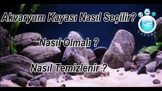 Akvaryum Kayası Nasıl Olmalı [upl. by Stclair]