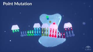 Difference Between Point and Frameshift Mutations  Central Principles of Molecular Biology [upl. by Anaujait]