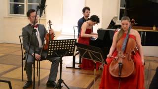 Brahms Piano trio in B major op8 [upl. by Aivil596]