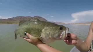 Lake Mead South Cove fishing [upl. by Eelymmij937]