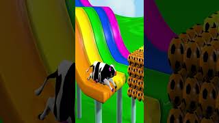 Paint Animals Cow Elephant Gorilla Buffalo Zebra Lion Fountain Crossing Transformation Cartoon [upl. by Alenoel]