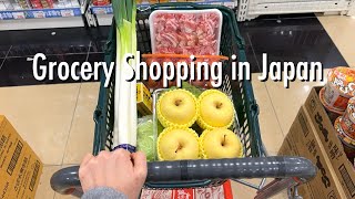 Shopping Trips Compilation🎵supermarket Daiso drug store goodies shop in Japan [upl. by Dafna905]