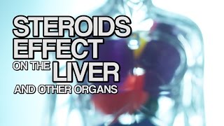 Steroids Effect on the Liver and Other Organs [upl. by Gomar133]