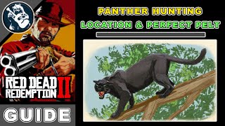 Perfect Pelts RDR2 Panther Location  Red Dead Redemption 2 Hunting Guide [upl. by Asina]