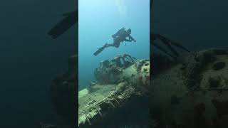 BLACK PEARL LIVEABOARD  diving cruises in Palau  DIVE THE WORLD [upl. by Rabbaj382]