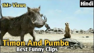 Timon And Pumba Best Funny Clips in Hindi Hollywood Hindi Dubbed Funny Clips [upl. by Beacham]