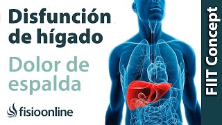 Hígado y dolor de espalda cervical y dorsal  ¿Cómo se relacionan [upl. by Iliak]