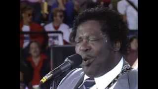 BB King  Aint Nobodys Business Live at Farm Aid 1985 [upl. by Ikeda]