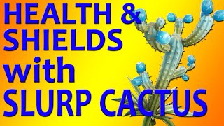 Restore health or gain shields with Slurp Cactus in Fortnite [upl. by Lundeen942]