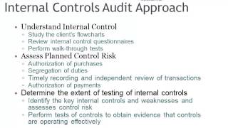 Internal Controls Audit Approach [upl. by Nonnarb]