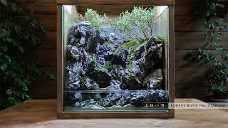 making forest river  paludarium  Aquaterrarium  DIY Filter [upl. by Evatsug]