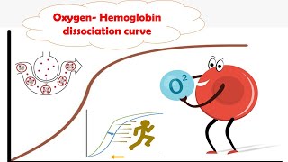 OxygenHb dissociation curve easy to learn biochemistry mbbs medicine usmle biology [upl. by Doe]