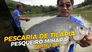 PESCARIA DE TILÁPIA NO PESQUEIRO MIHARA PARTE 1 DE 2 [upl. by Ameer442]