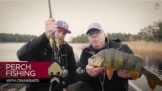 Perch fishing with crankbaits  WestinFishing [upl. by Saltsman]