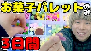 『お菓子パレット』だけで quot３日間生活quot‼️駄菓子屋・コンビニ・ダイソー（100均）で 作る♪ [upl. by Ofloda]