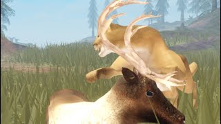 ReindeerHolocene Roblox [upl. by Mirabel211]