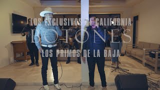 Los Primos de La Baja Feat Exclusivos de California “Botones Azules” 2022 [upl. by Arlynne514]